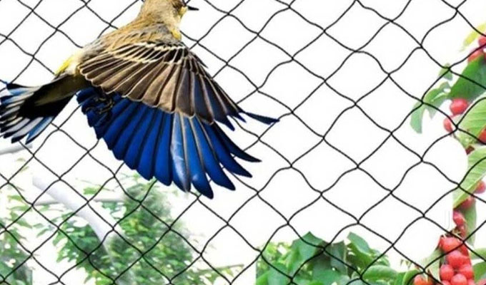 Anti Bird Nets in ayodhya-nagar